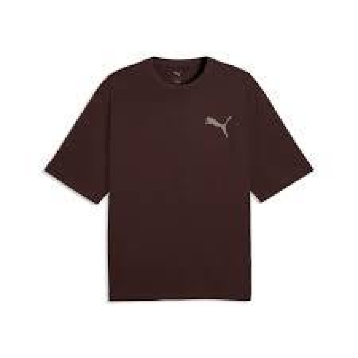 Remera Puma Graphics Boxy Utility Tee Hombre 694360 33 - Chocolate 