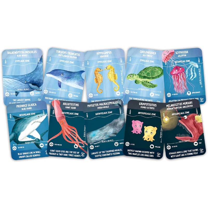 Puzzle Mágico Hape 200 Piezas Océano