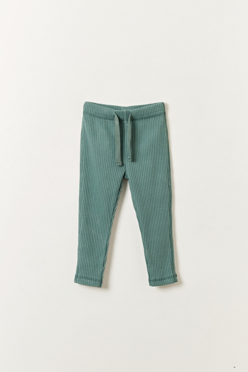 Calza rib - Verde 