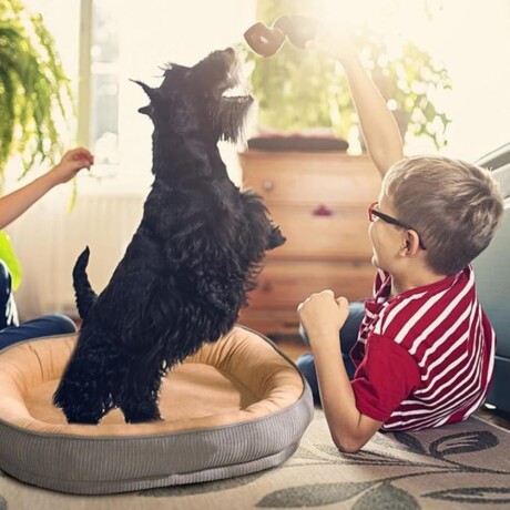 Cama Para Perro Mediano 50x40 cm Marron