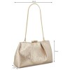 Shoulder Bags Cramer Convertible Clutch Platino