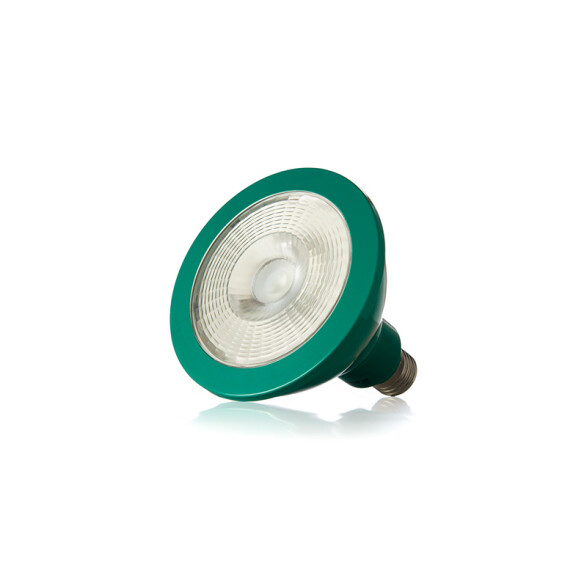 Lámpara LED color verde PAR38 220V E27 8W 40° SK0815