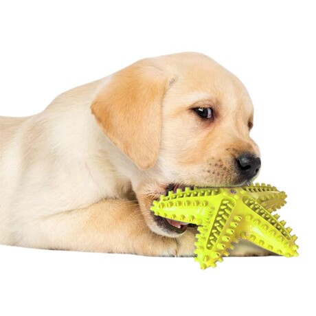 Juguete Dental Estrella Mordible con Silbato para Perros Amarillo