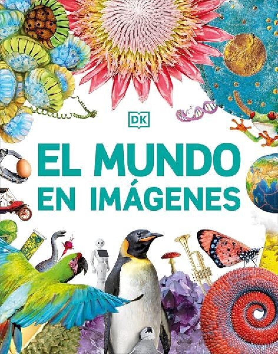 EL MUNDO EN IMAGENES 