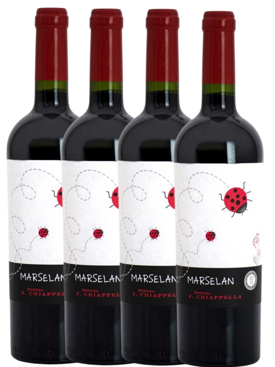 Pack 4x3 Marselan J. Chiappella 