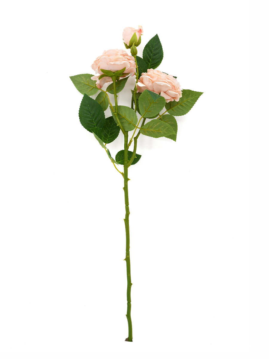 FLOR DE ROSAS - ROSADO 