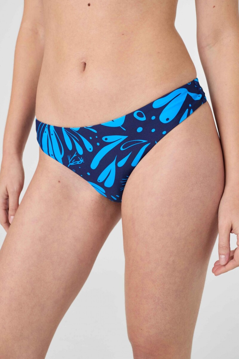 Colaless Recife - Duo Azul Print 