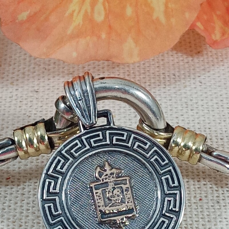 Medalla Profesión Policía en Plata y Oro con guarda Medalla Profesión Policía en Plata y Oro con guarda