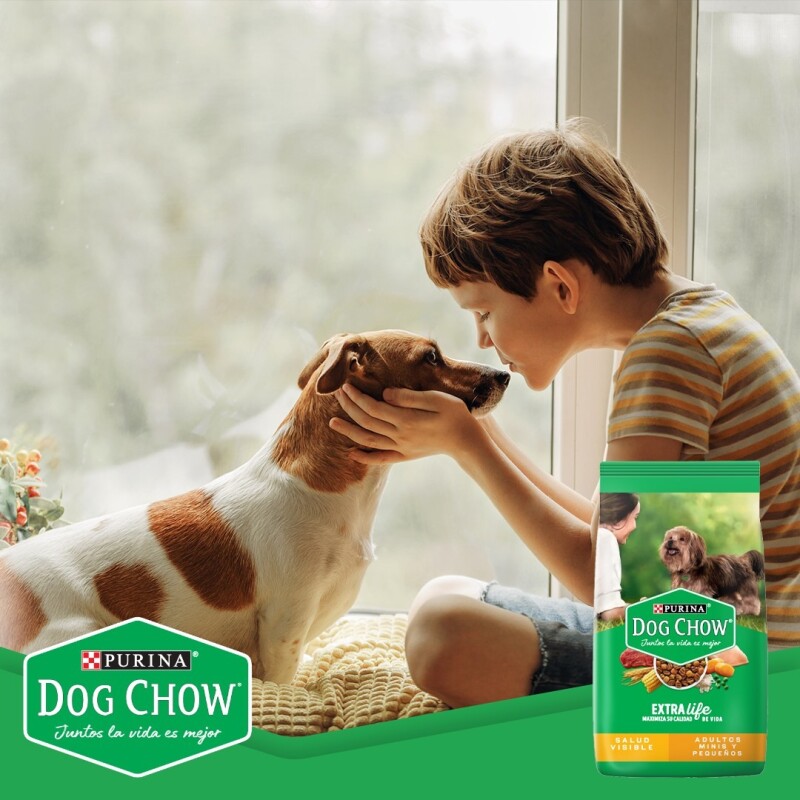 DOG CHOW PERROS ADULTOS RAZAS MINIS Y PEQUEÑAS 21 KG