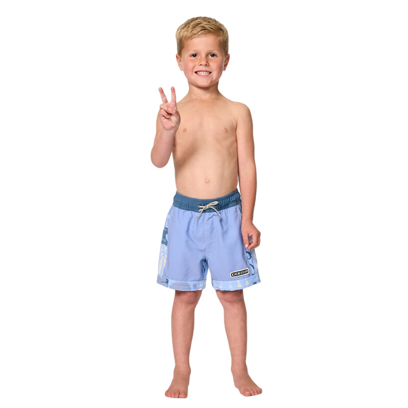 Short Rip Curl Aots Ty Williams Volley Niño - Azul Short Rip Curl Aots Ty Williams Volley Niño - Azul