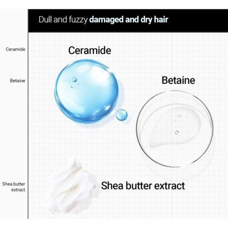 DÚO CAPILAR SHAMPOO + ACONDICIONADOR ADVANCED MOISTURE AMPOULE 600ml FÓRMULA MEJORADA DÚO CAPILAR SHAMPOO + ACONDICIONADOR ADVANCED MOISTURE AMPOULE 600ml FÓRMULA MEJORADA