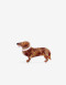Broche Animales Broche De Perro Salchicha - Combinacion Multicolor