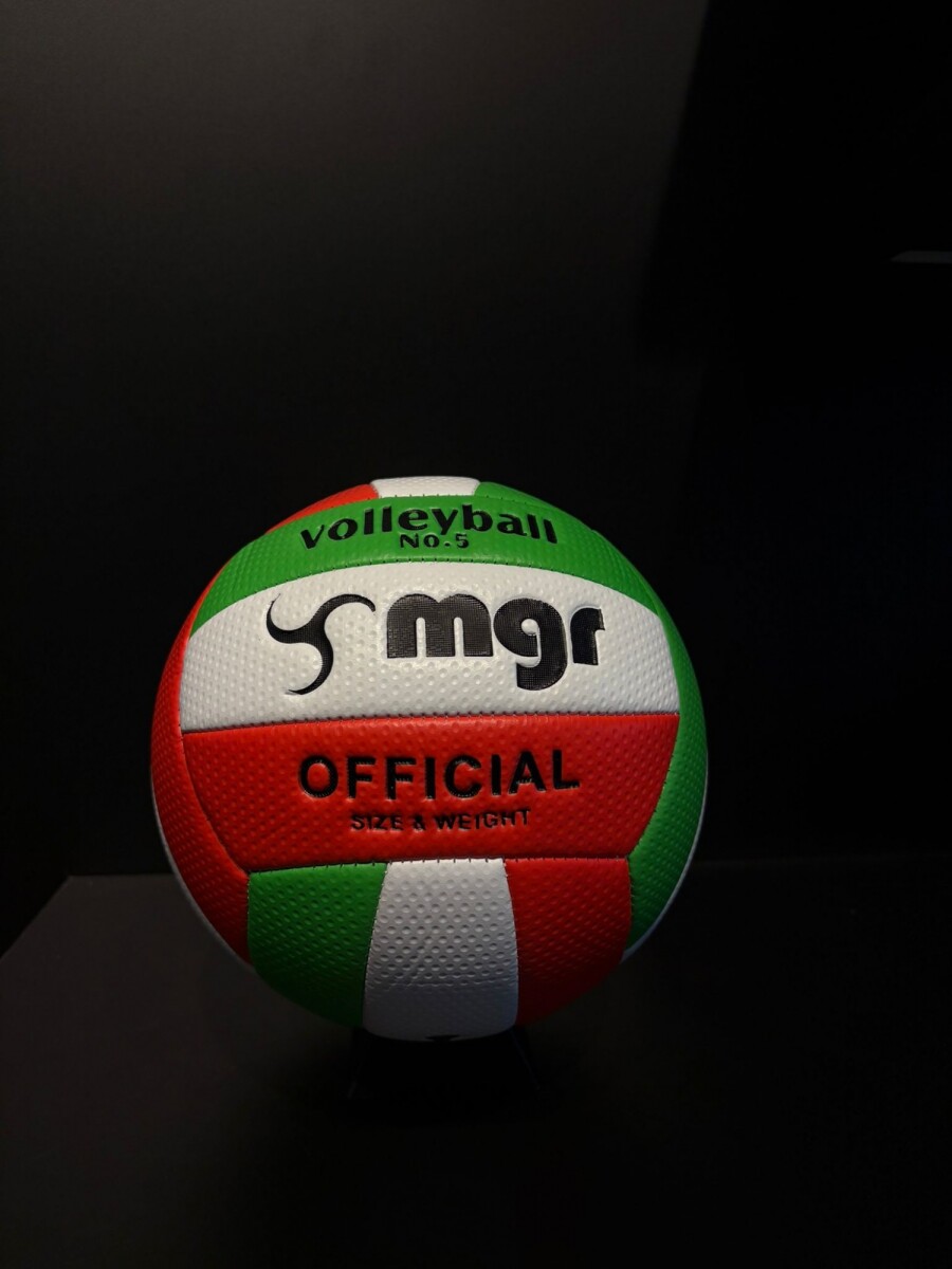 Pelota Volley 