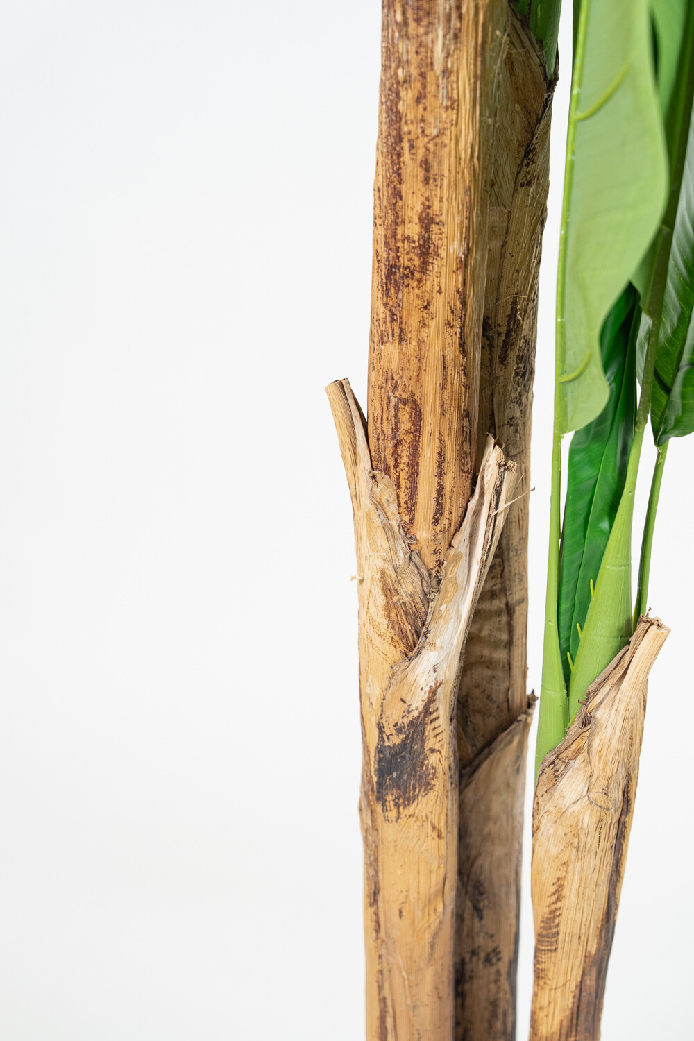 Planta Banana Tree 180cm Color Unico