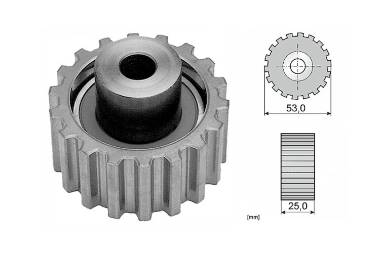 Tensor Guía Correa Distribución Tensor Guía Correa Distribución