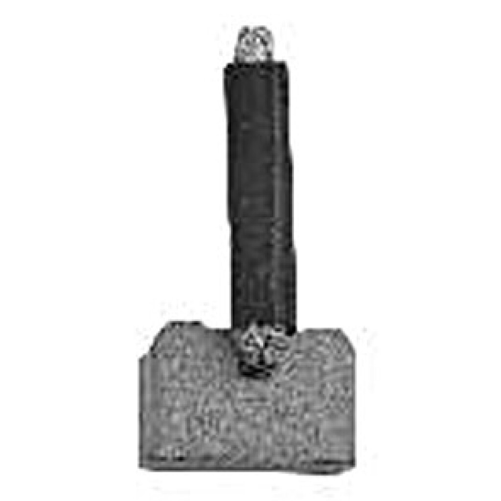CARBON ARRANQUE - NIPONDENSO 12V 8X25X15 1COLILLA SCHUNK