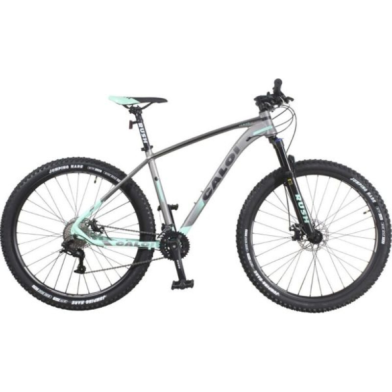 Bicicleta Caloi Gtr 29" Large Bicicleta Caloi Gtr 29" Large