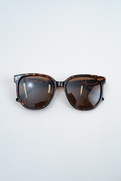 Lentes Zn3643 Marron