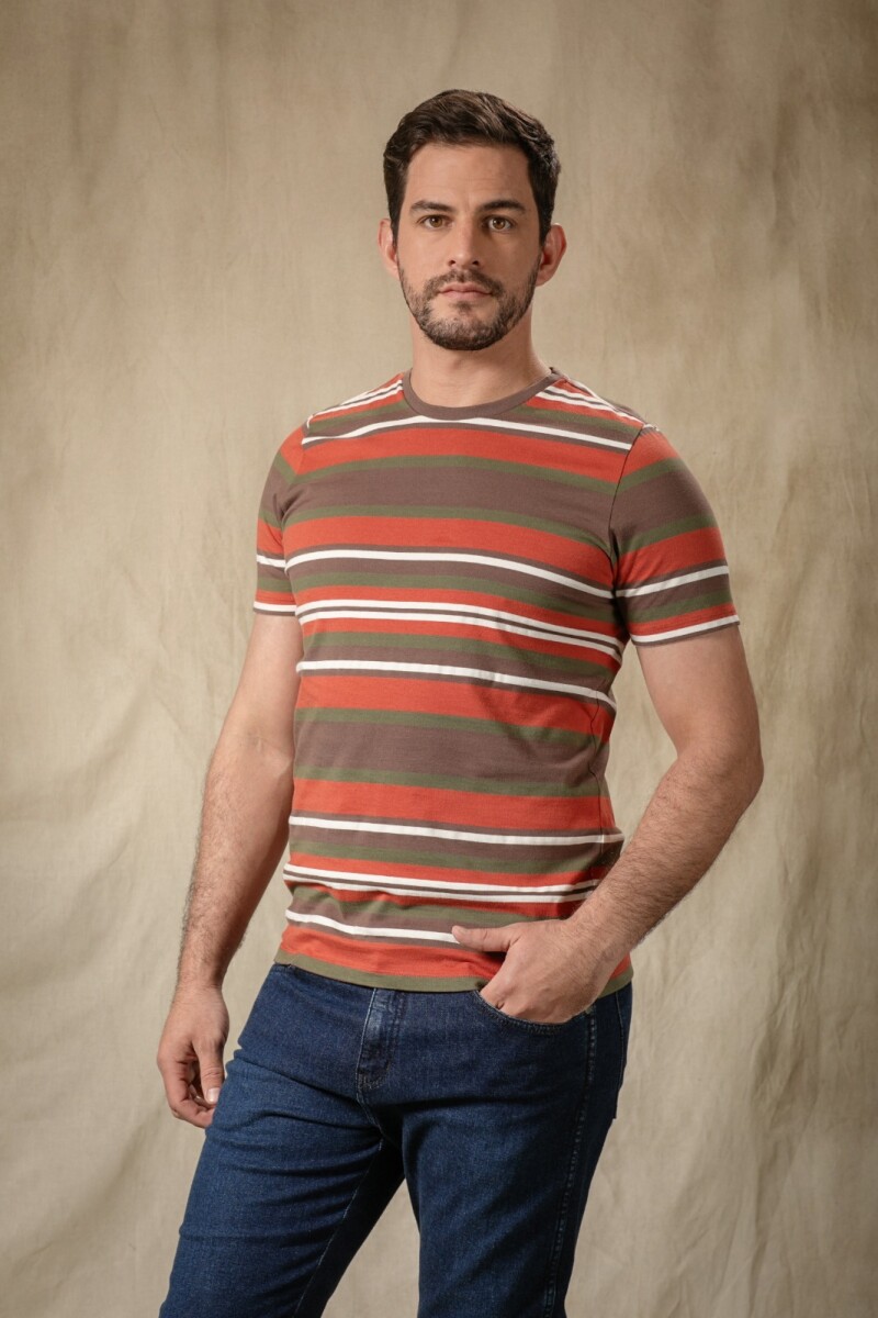 Remera Combinada. Rayas Marrones