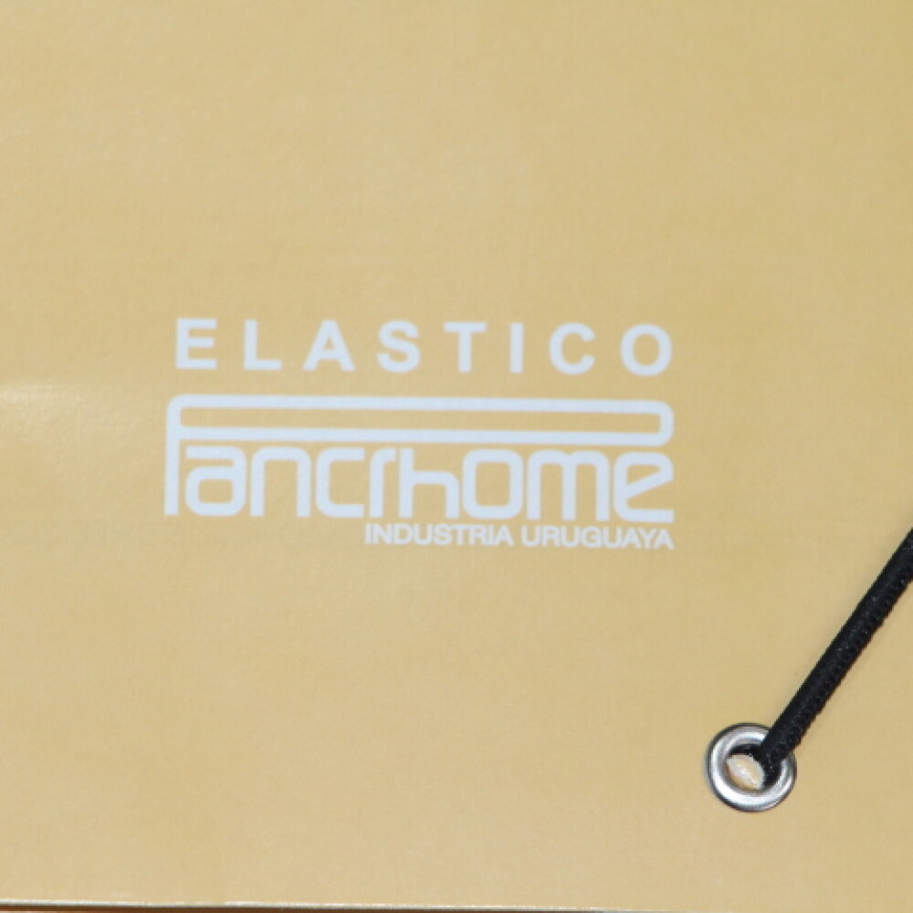 CARPETA PANCHROME CON ELASTICO 307 COLOR BEIGE CARPETA PANCHROME CON ELASTICO 307 COLOR BEIGE