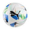 Pelota PUMA Cumbre Conmeball Libertadores de Hombre 084611 01 Blanco-azul