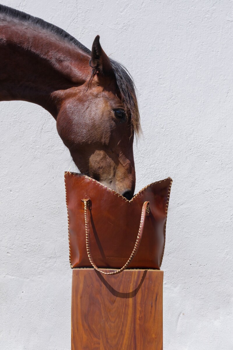 Carry Bag Camel