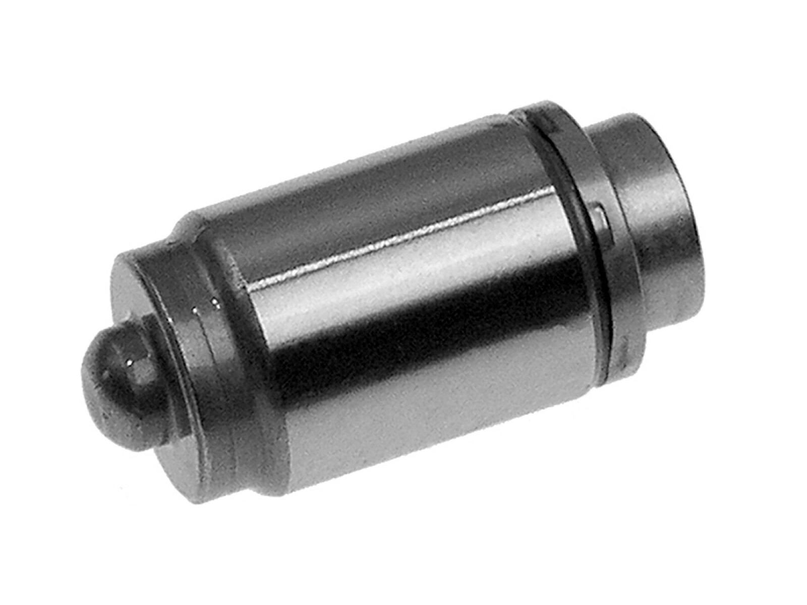 Botador 