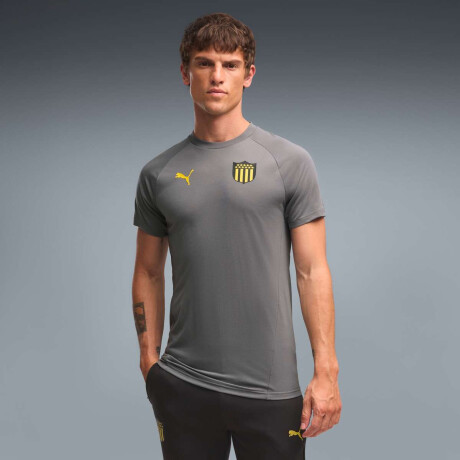 Remera Cap Evostripe Tee de Hombre Gris