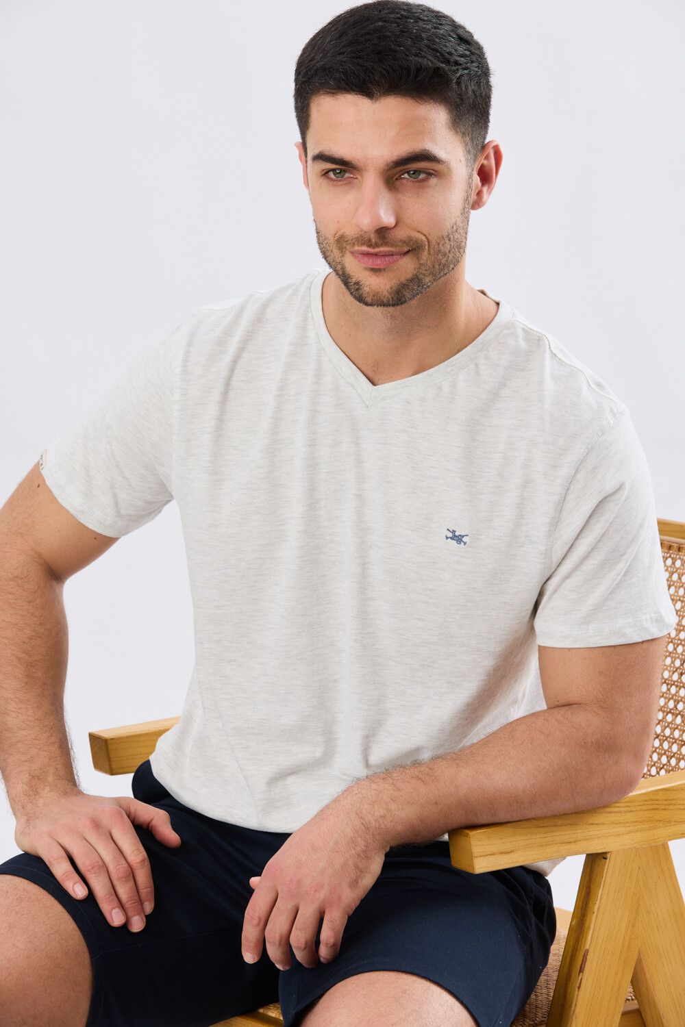REMERA BÁSICA V DE ALGODÓN Gris