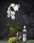 Orquídea doble cascada en globo de vidrio - grande + Botella de vino blanco Orquídea doble cascada en globo de vidrio - grande + Botella de vino blanco