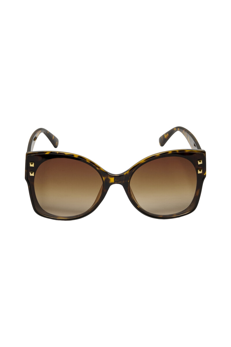 Lentes De Sol Aviva Black