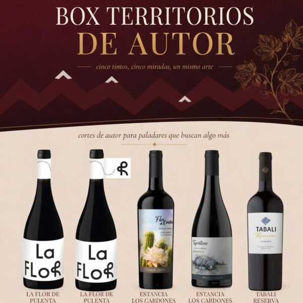 Box Territorios de Autor Box Territorios de Autor