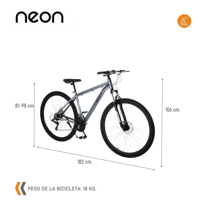 Bicicleta Montaña Bike Ruta R29 Freno Disco Acero Gris