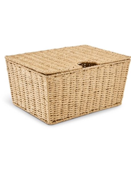 Caja ESPEN A40xL27xA19cm con tapa Caja ESPEN A40xL27xA19cm con tapa