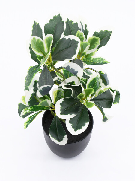 PLANTA CON MACETA 30 CM (9) VERDE