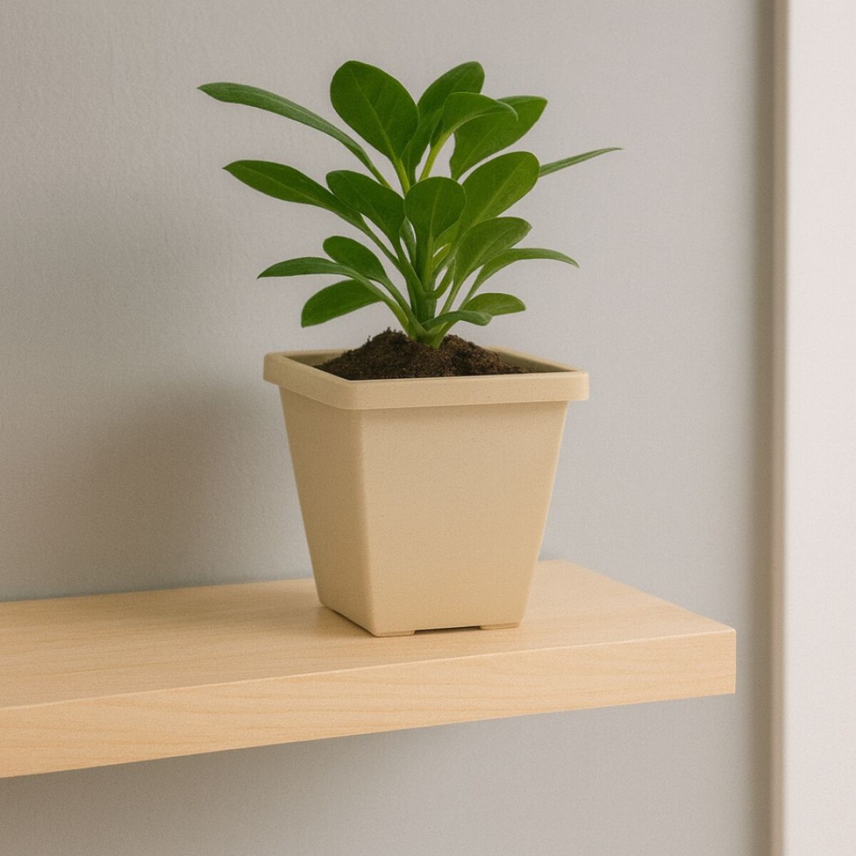 MACETA AZTECA PIRAMIDAL 4 LITROS BEIGE GRANITO 