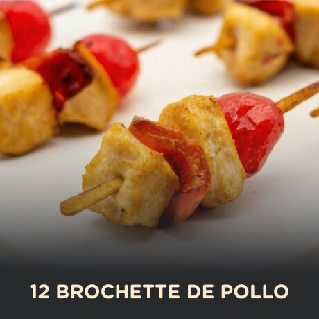 12 Brochette de Pollo 000