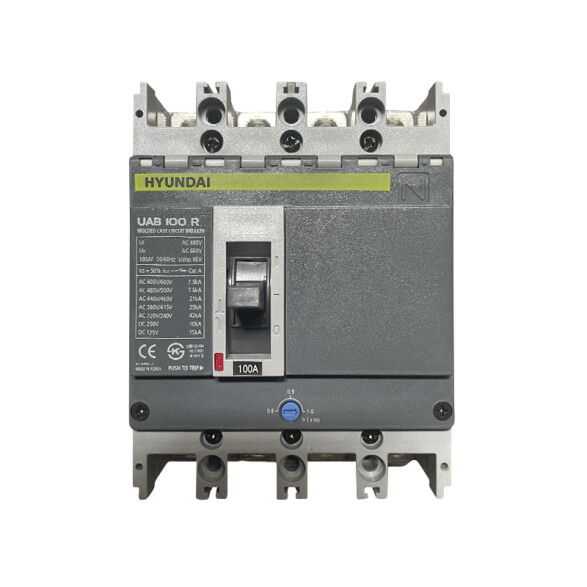 Llave industrial caja moldeada reg 4P 80-100A 25kA HY4160