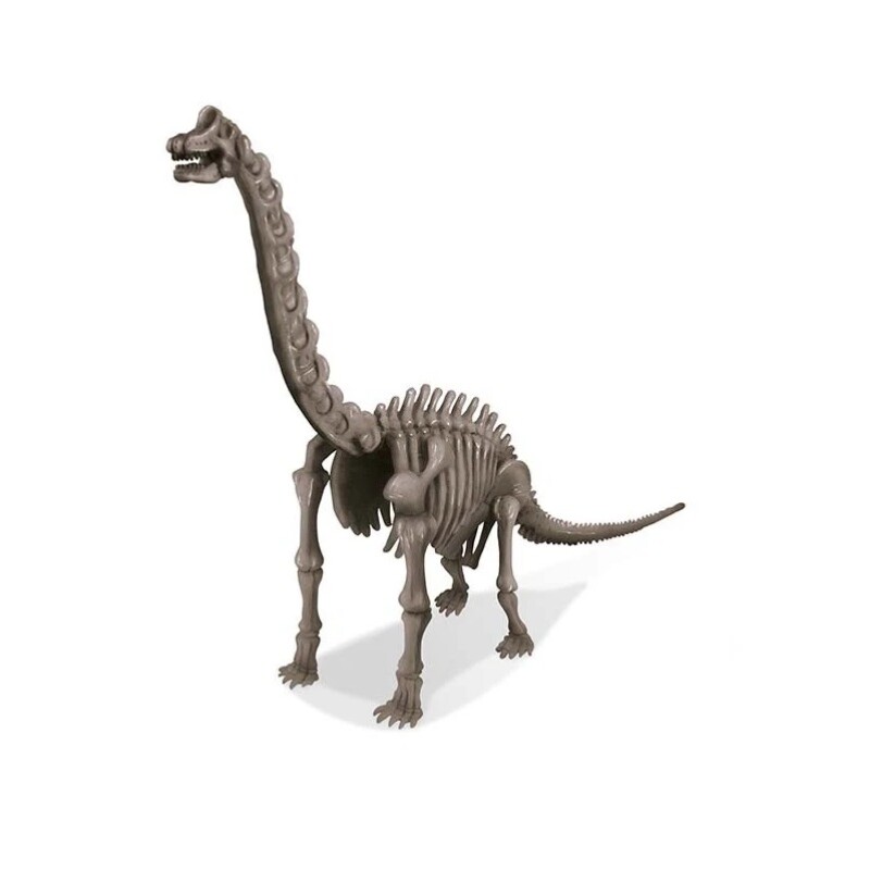 Kit de Excavación – Esqueleto de Brachiosaurus KIT EXCAVACION BRACHIOSAURUS SKELETON