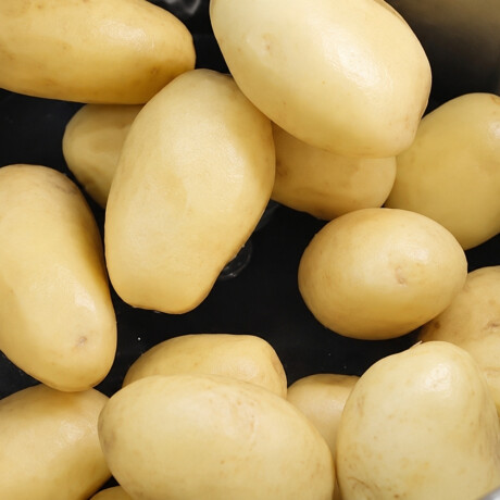 Peladora de Papas Eléctrica 10 kg Peladora de Papas Eléctrica 10 kg