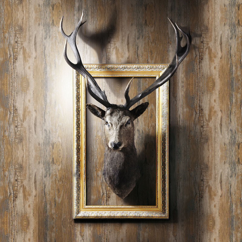 CONTACT D-C-FIX WINDOW FILM RUSTIC N/A