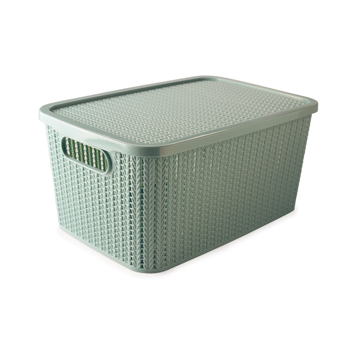 Caja organizadora con tapa Plasutil Trama 14lt - Menta 