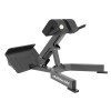 Back Extension Performance Gris
