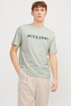 Polera Blajack Logo Estampado Green Tint