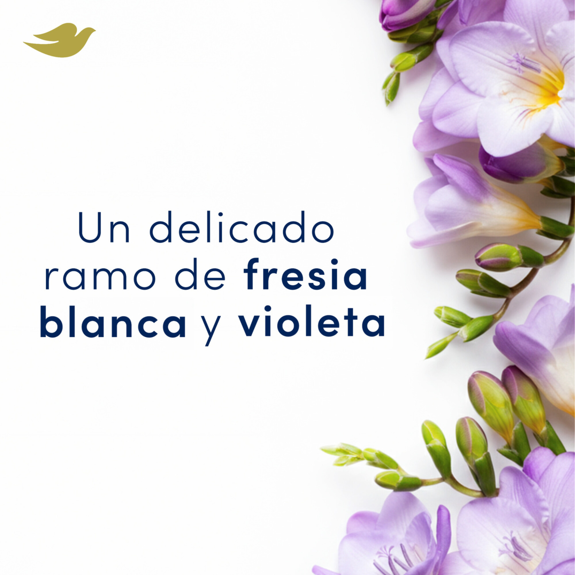 Dove Desodorante antitranspirante Aerosol Invis Dry — San Roque