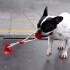 Juguete Perro Limpia Dientes Ventosa Con Cuerda Pelota Color Variante Bordo