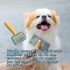 CARDINA PARA PERROS PET FUNNY 12x6 CM CARDINA PARA PERROS PET FUNNY 12x6 CM