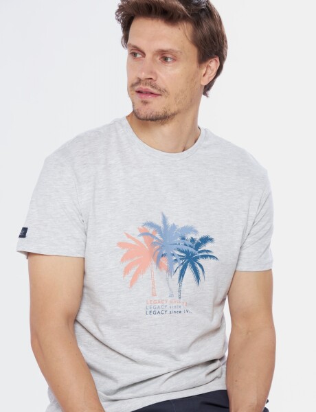 REMERA ESTAMPADA Gris