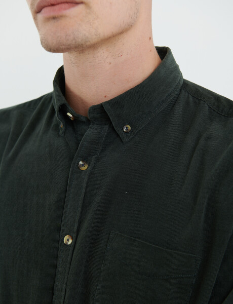 012613 CAMISA HARRY Verde