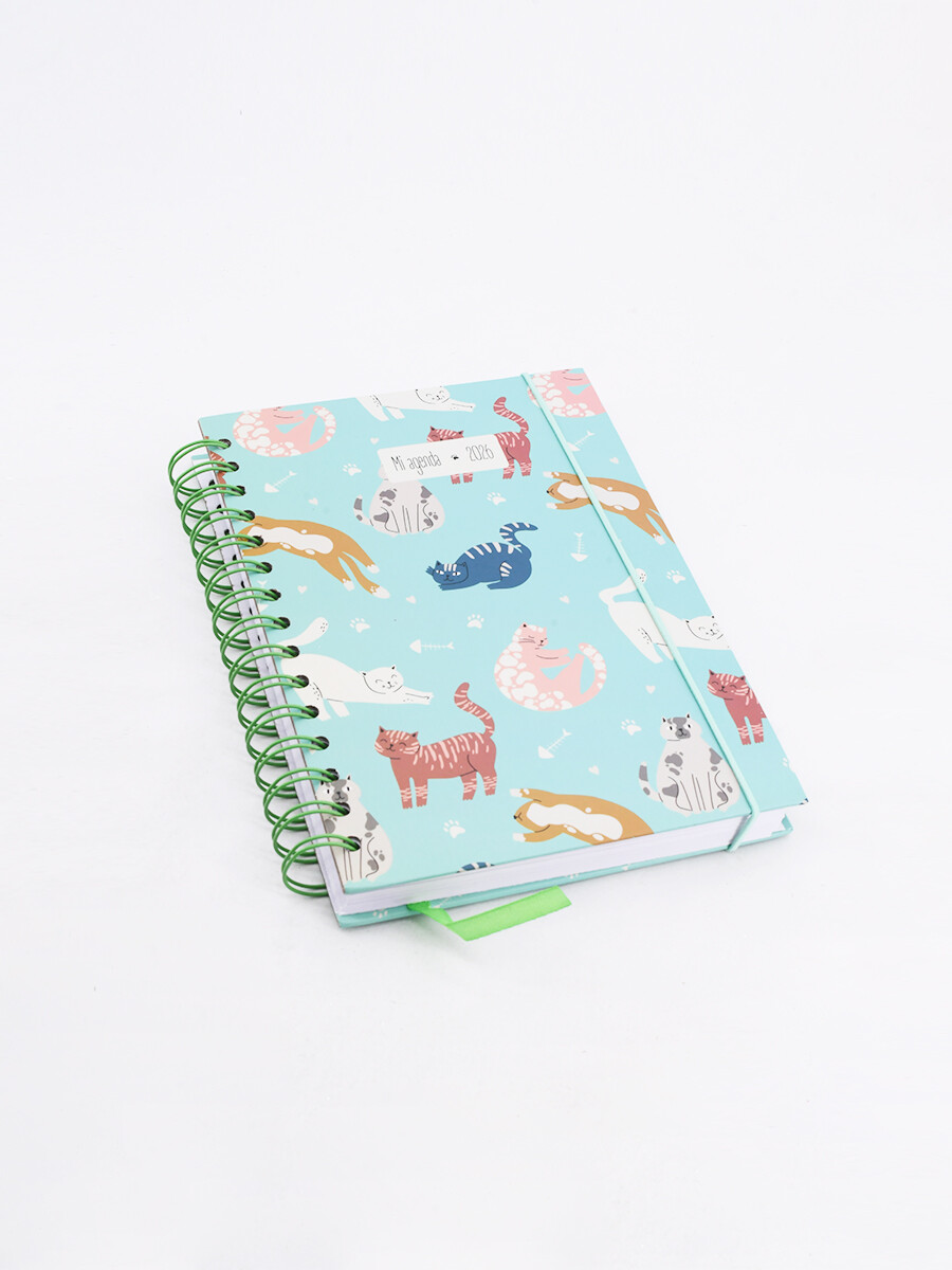 AGENDA 2026 - VERDE AQUA 